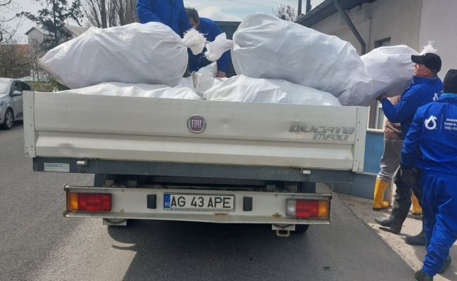 Mii de PET-uri au fost adunate din lacul Pitești
