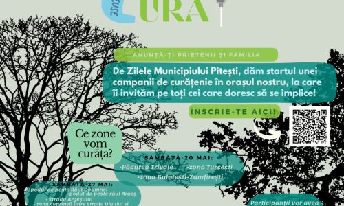 Acțiune de ecologizare în Pitești