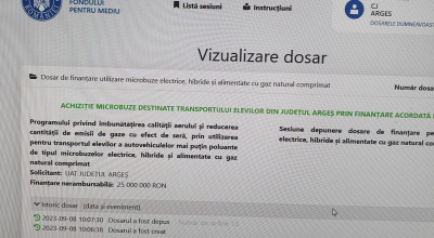 17 microbuze electrice şcolare vor ajunge în Argeş