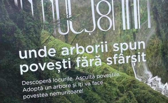 Simona Bucura Oprescu: ' Nucșoara are păduri cu povești nemuritoare'