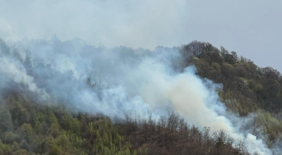 ACUM! INCENDIU URIAȘ în Argeș! ARDE o PĂDURE