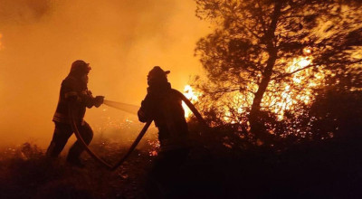 ACUM! Incendiu VIOLENT în Argeș!