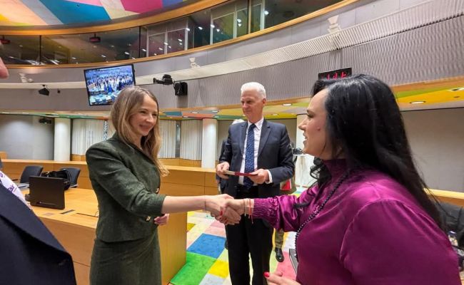 Ministrul Simona Bucura Oprescu, întrevederi cu vicepremierul Țărilor de Jos și Ministrul Muncii din Grecia!
