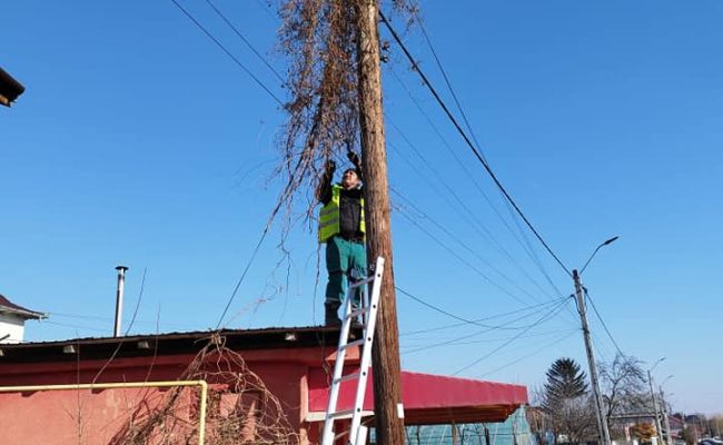 Ample lucrări de salubrizare la Ştefăneşti