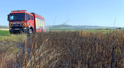Incendii de vegetație uscată în Argeș!