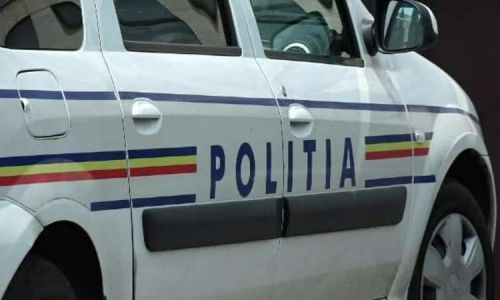Piteștean REȚINUT după ce a comis mai multe furturi