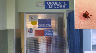 Cinci argeşeni au ajuns la spital după ce au fost muşcaţi de căpuşe