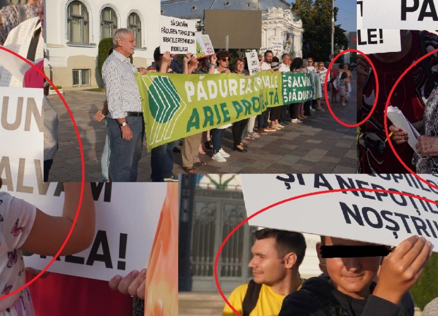 Liberalii piteșteni FĂRĂ LIMITE! Copii și proteste neautorizate...