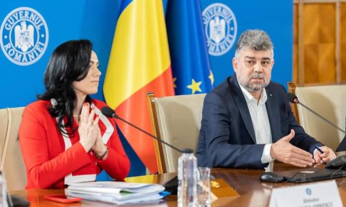 Simona Bucura Oprescu, pași privind reforma în domeniul asistenței sociale