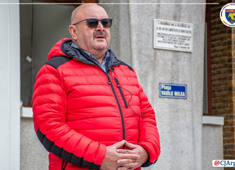 Ion Mînzînă a verificat stadiul lucrărilor la Palatul Administrativ