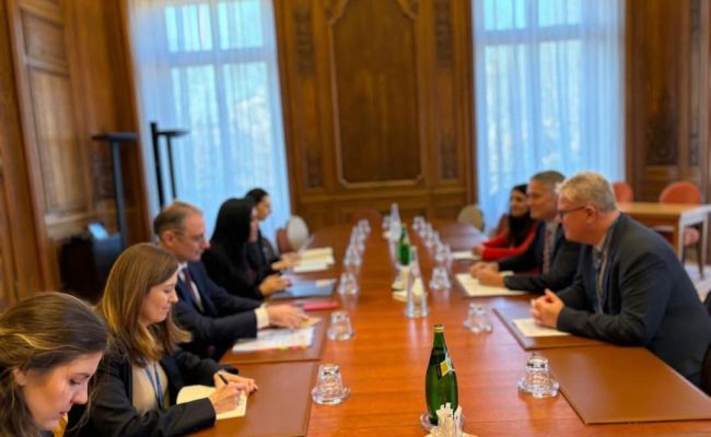 Ministrul Simona Bucura Oprescu, reuniune bilaterală cu secretarul general OCDE