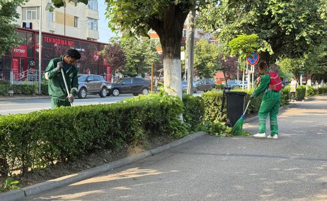 Ample acțiuni de curățenie a spațiului verde din orașul Mioveni!