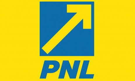 Liberalii DISPERAȚI să primească ministere cu bani și putere