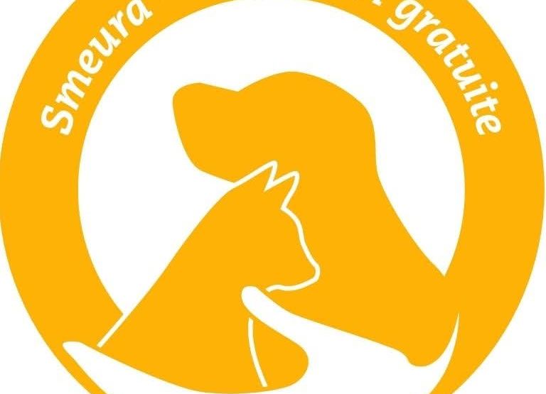Primăria comunei Bradu lansează o campanie de sterilizare gratuită a câinilor fără stăpân!
