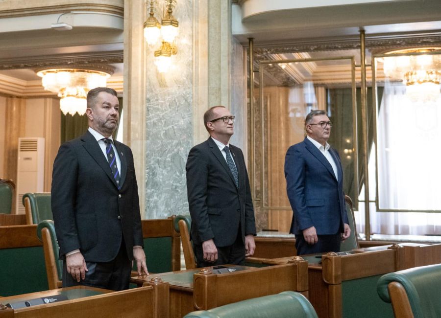 Ovidiu Puiu: "Senatul României a fost apărător al idealurilor și identității naționale și factor de echilibru între structurile politice și societate"