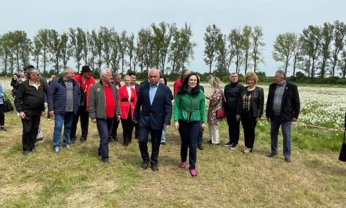 'Sărbătoarea Narciselor', sărbătoarea gospodarilor din Negrași