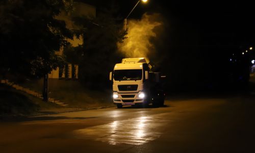 Acţiune de dezinsecţie la Piteşti