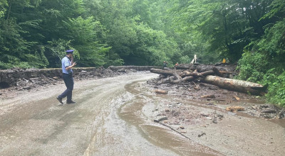 A fost redeschisă circulația pe Transfăgărășan