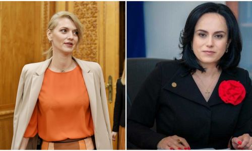 ACȚIUNE DE FORȚĂ A PNL ARGEȘ! Gorghiu a LĂUDAT-O pe Simona Bucura Oprescu