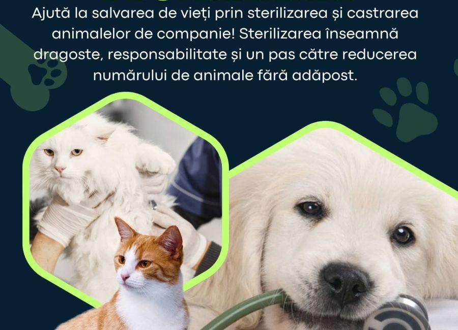 În comuna Bradu va fi organizată o campanie de sterilizare a câinilor și pisicilor!