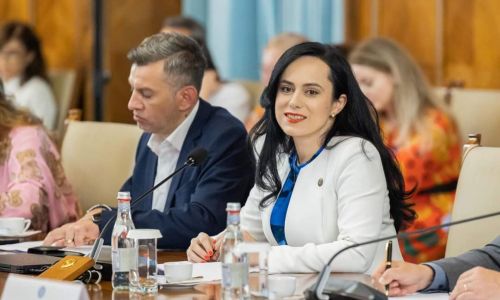 Simona Bucura Oprescu: "Ministerul Muncii este la zi cu toate procedurile necesare aderării la OCDE"