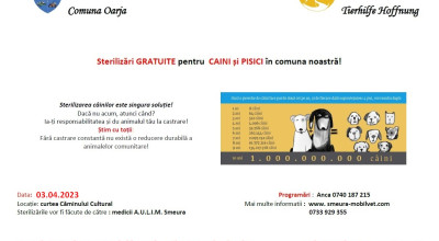 În comuna Oarja, campanie GRATUITĂ de sterilizare a câinilor şi pisicilor