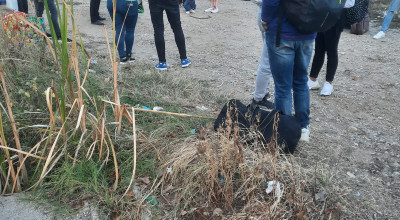 Panică în Argeș! Călătorii unui TREN au fost EVACUAȚI