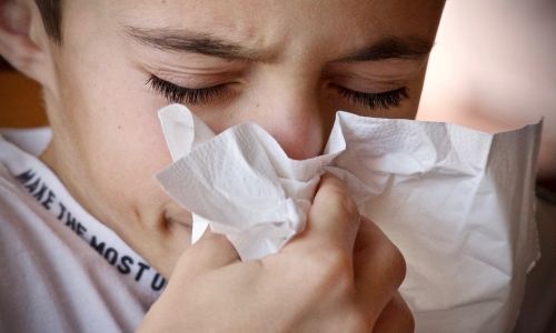 A fost declarată alertă epidemiologică în România