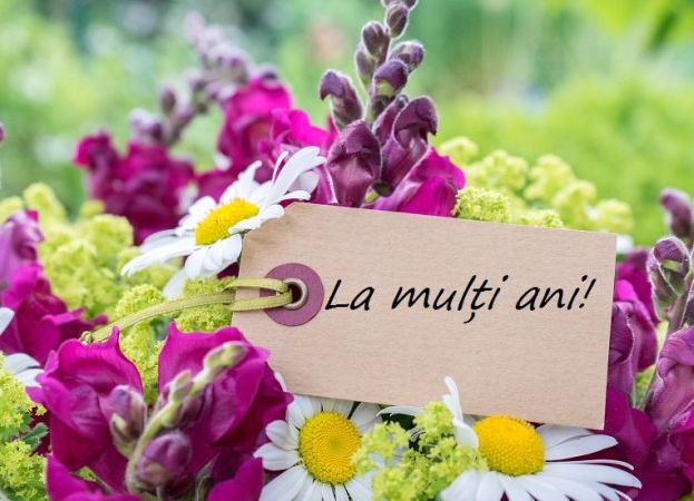 Felicitare PSD Piteşti