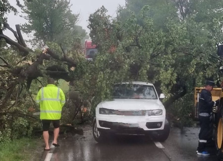 ACUM! Furtuna face PRĂPĂD în Argeș! Un copac a CĂZUT peste o MAȘINĂ!