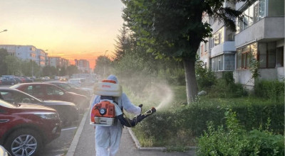 Tratamente fitosanitare de toamnă, în Pitești!
