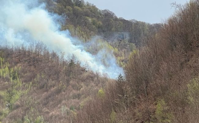 ACUM! INCENDIU URIAȘ în Argeș! ARDE o PĂDURE