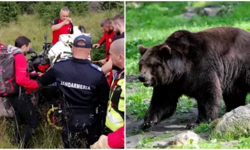 ACUM! Femeie ATACATĂ de URS la barajul Vidraru!