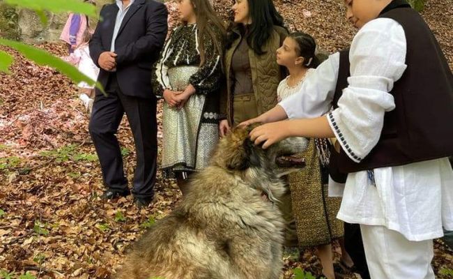 Simona Bucura Oprescu: ' Nucșoara are păduri cu povești nemuritoare'