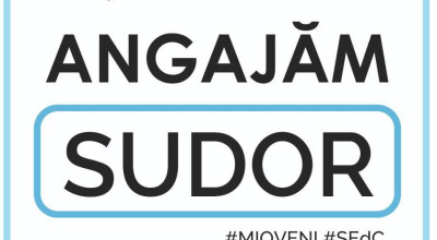 Servicii Edilitare pentru Comunitate Mioveni ANGAJEAZĂ