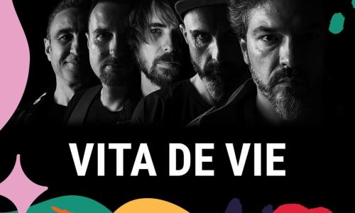Vița de Vie, show incendiar la Analogue Festival