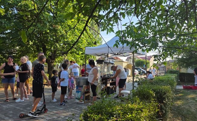 Un nou loc de joacă a fost INAUGURAT în comuna Bradu!