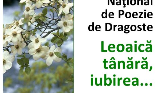 Centrul Cultural Piteşti, concurs naţional de poezie de dragoste