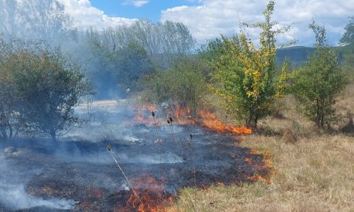 ACUM! Incendiu URIAȘ în Pitești! Un bărbat a fost ARS