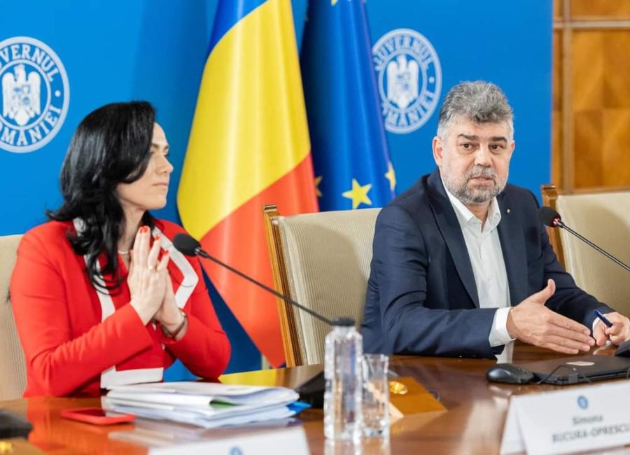 Simona Bucura Oprescu, pași privind reforma în domeniul asistenței sociale