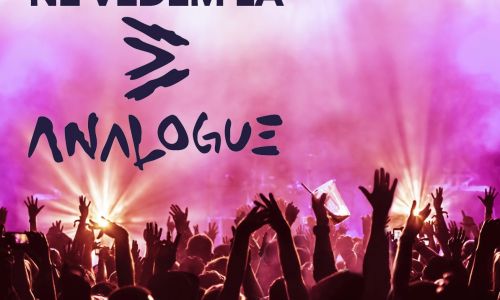 Transport GRATUIT, din Mioveni, la Analogue Festival