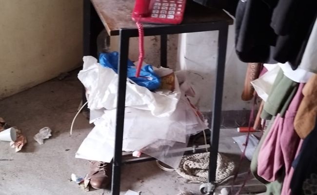 O profesoară din Pitești a ajuns să locuiască în condiții inumane