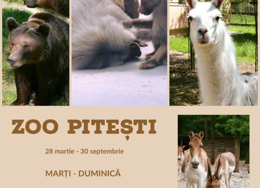 Grădina Zoologică din Pitești trece la programul de vară!