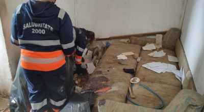 O profesoară din Pitești a ajuns să locuiască în condiții inumane