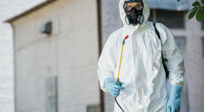 Campanie de dezinsecţie și dezinfecție la Mioveni
