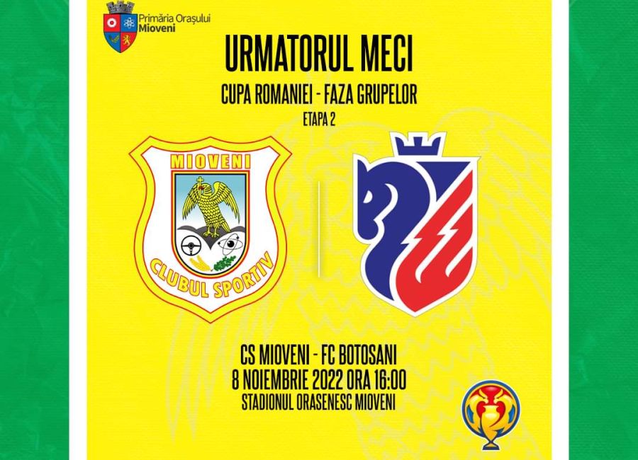 CS Mioveni va juca astăzi în Cupa României