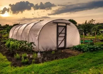 PSD va cere eliminarea impozitului pe solarii!