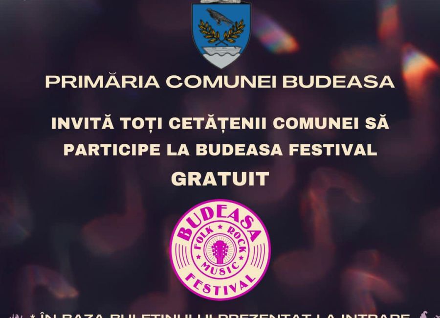 BUDEASA FESTIVAL! Vama, Cargo, Ducu Bertzi...