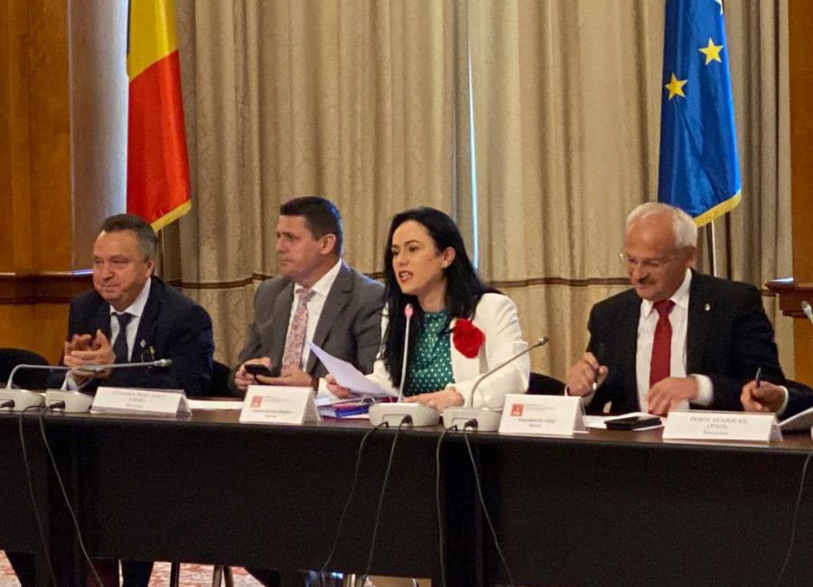 Comisia pentru Administraţie Publică, aviz favorabil pentru ministrul Dezvoltării