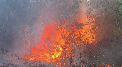ACUM! INCENDIU puternic în Argeș
